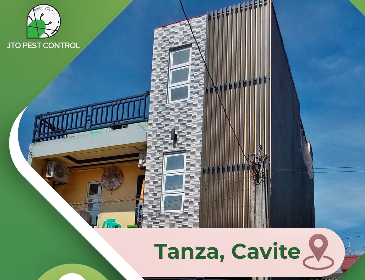 Cavite Pest Control