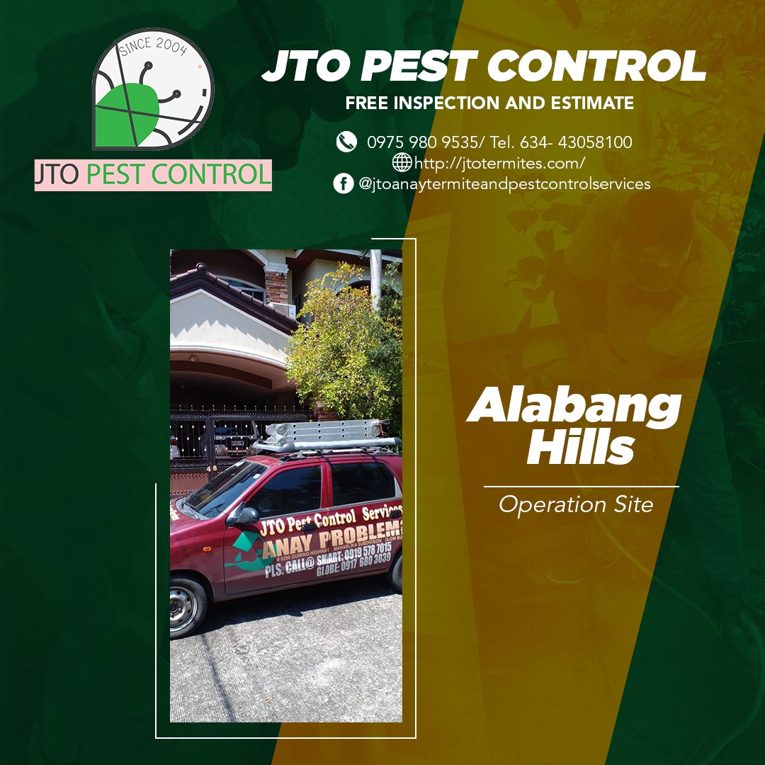 Pest Control Services in Alabang, Muntinlupa