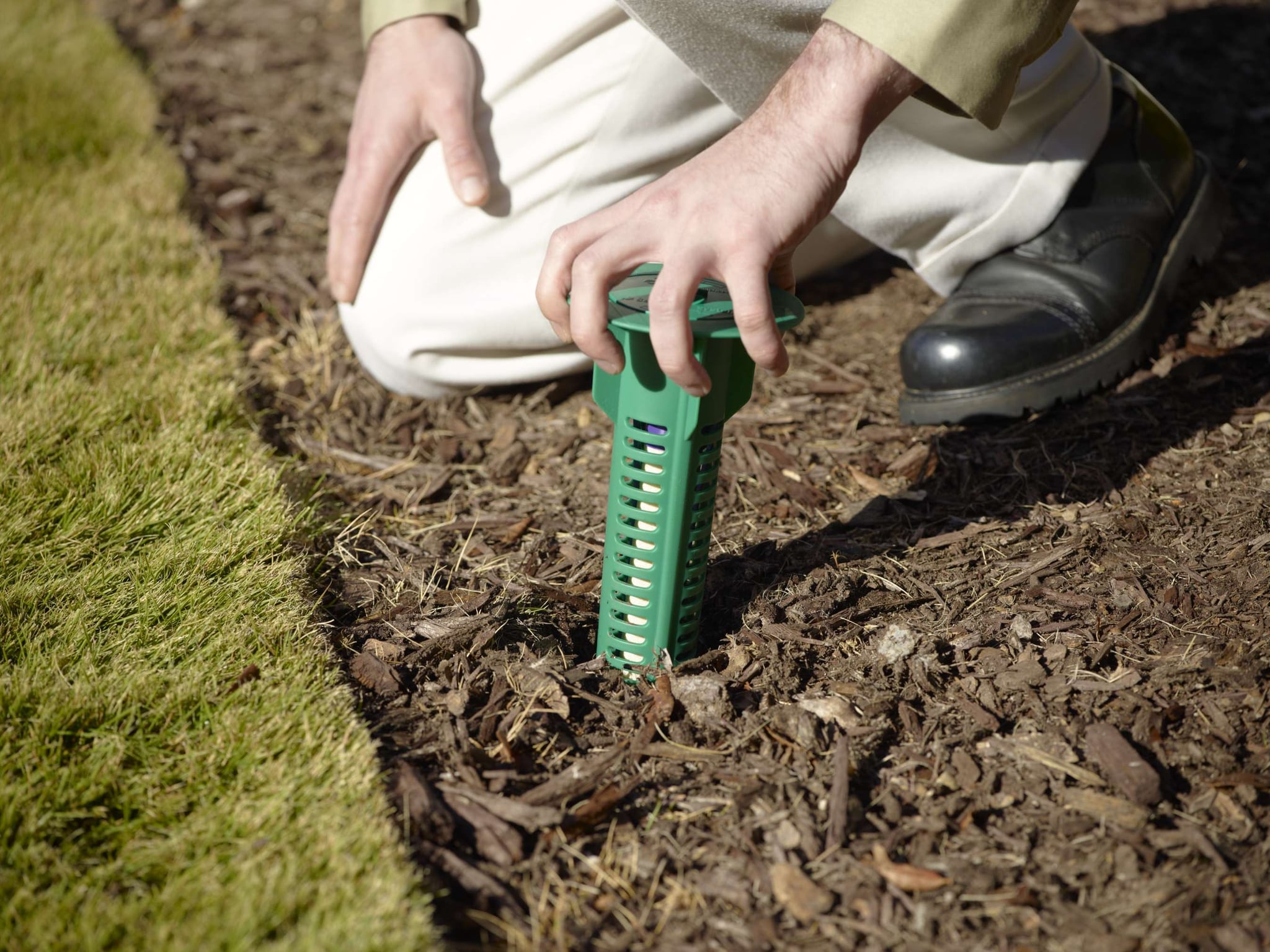 BAITING SYSTEM: ABOVE GROUND AND IN GROUND BAIT SYSTEM