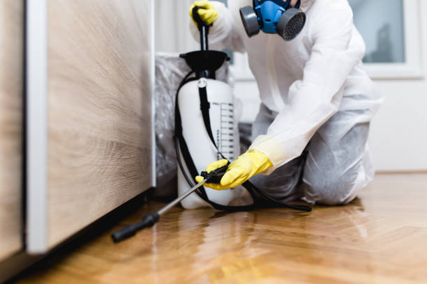 The Business of Pest Control: Understanding the Value of Professional Services