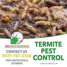 termite control