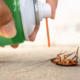 cockroach control