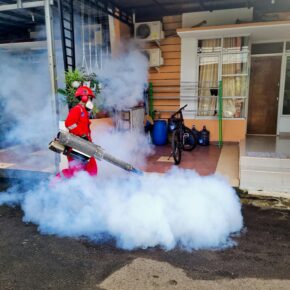 pest control at home