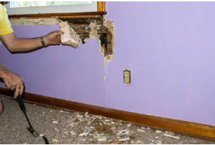 Signs Your Termite Infestation Is Worse Than You Think